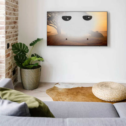 AVF ANY80FW Low Profile Any Wall TV Mount
