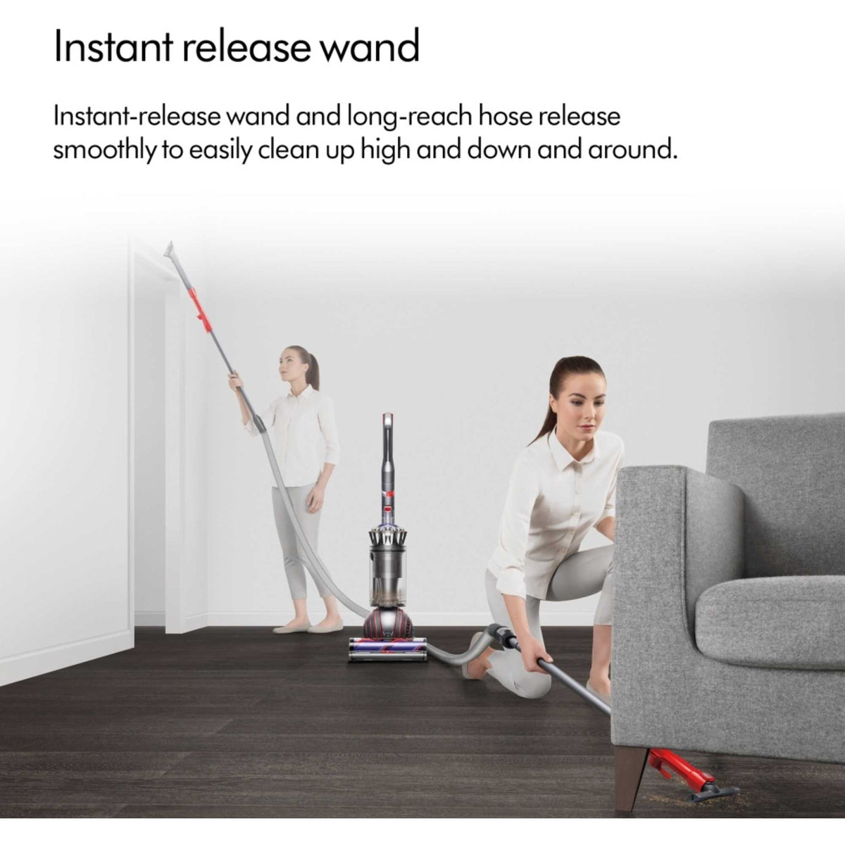 Dyson Ball Animal Multifloor, Nickel/Silver