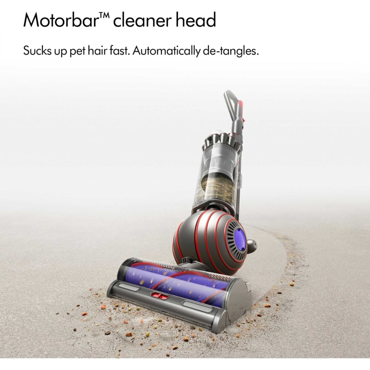Dyson Ball Animal Multifloor, Nickel/Silver