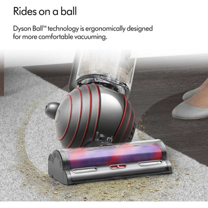 Dyson Ball Animal Multifloor, Nickel/Silver