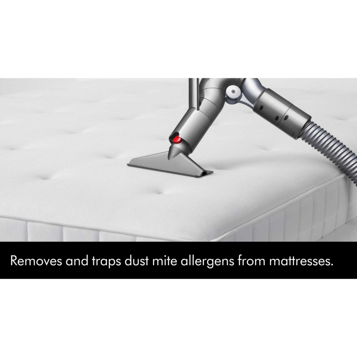 Dyson Ball Animal Origin Vacuum Cleaner, Silver