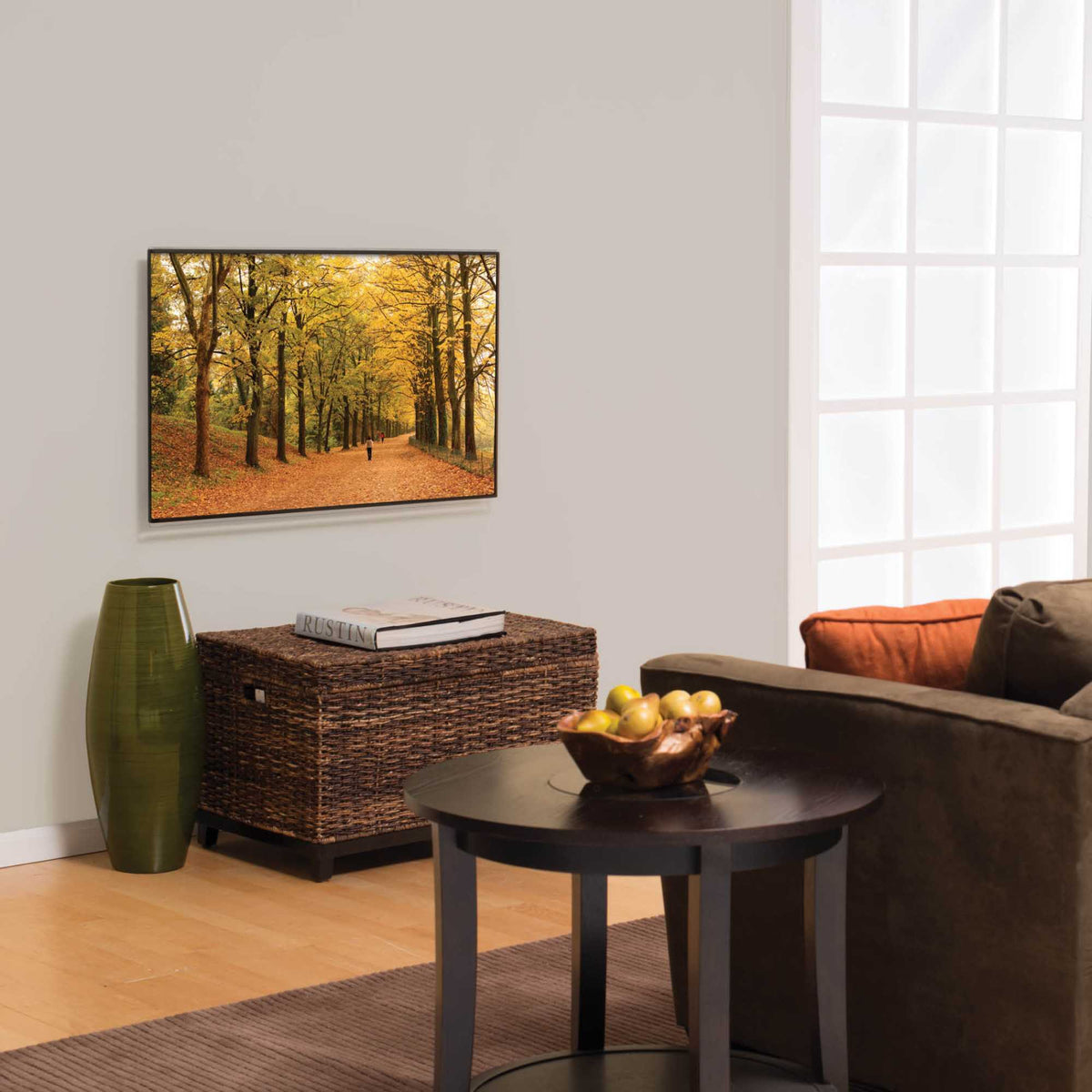 Sanus F32C-B2 Low Profile 32-55 Inch TV Wall Bracket