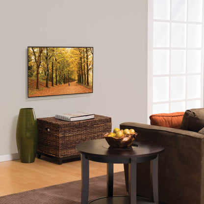 Sanus F32C-B2 Low Profile 32-55 Inch TV Wall Bracket