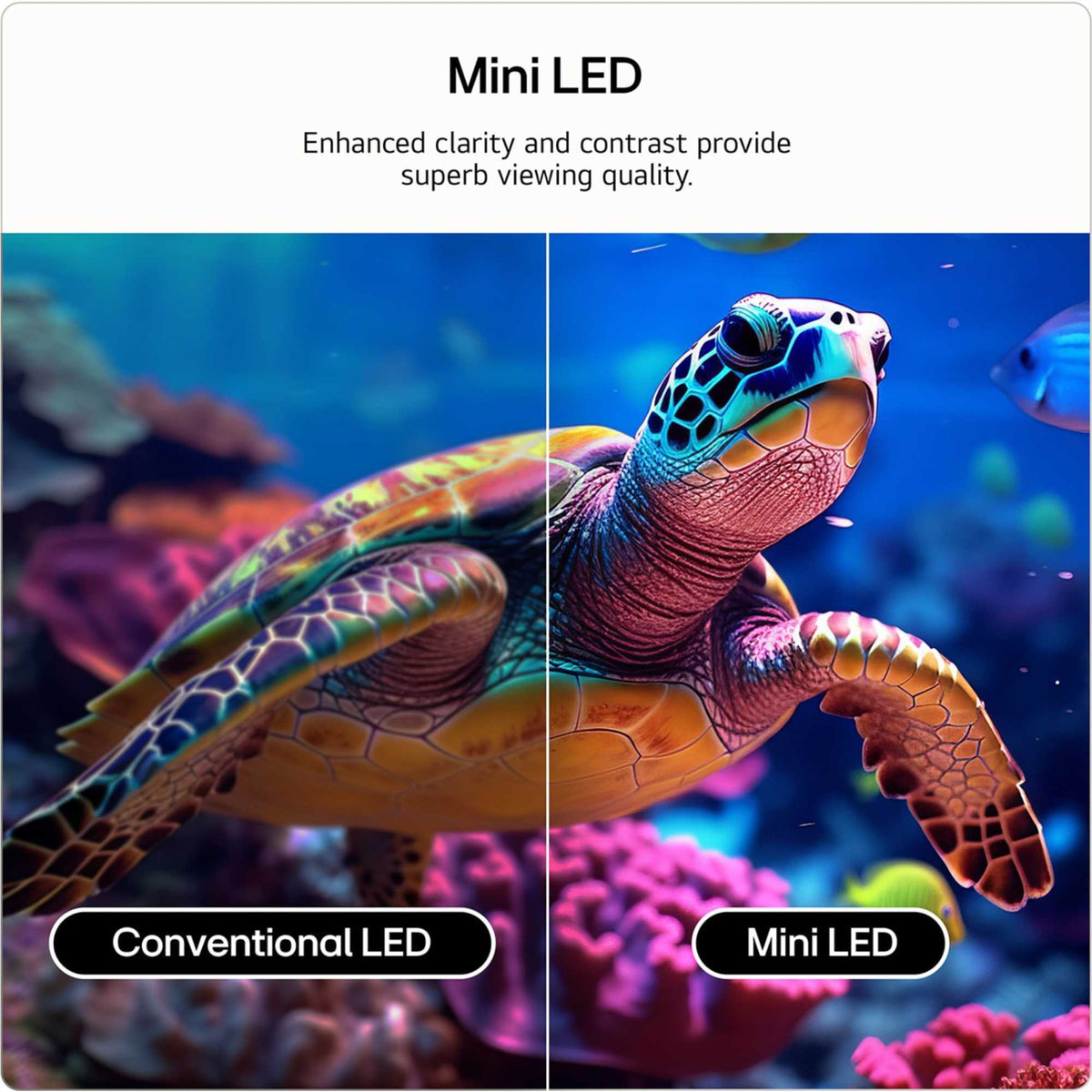 LG QNED87 75" 4K QNED Mini LED Smart TV - 75QNED87B6A