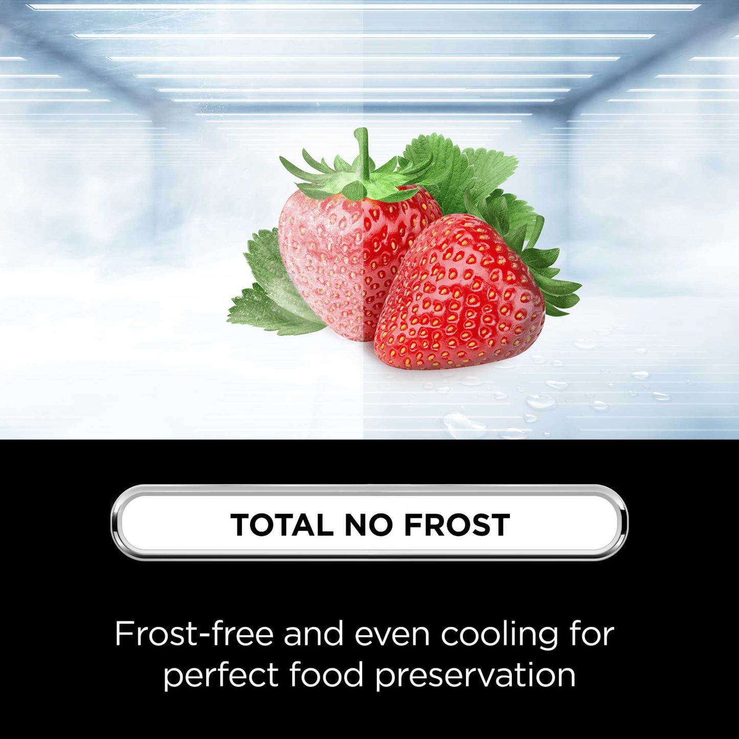TCL American Style Fridge Freezer 50/50 Total No Frost - Black - RP320FBE0UK